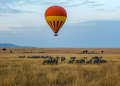How to plan your dream safari – and still be ethical
