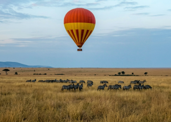 How to plan your dream safari – and still be ethical