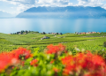 Beyond the Postcard: How Living in Switzerland Taught a British Photographer to See Differently