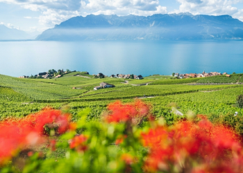 Beyond the Postcard: How Living in Switzerland Taught a British Photographer to See Differently