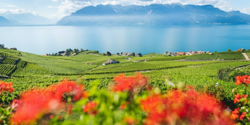 Beyond the Postcard: How Living in Switzerland Taught a British Photographer to See Differently