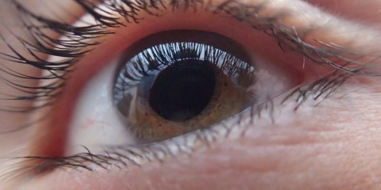 The Beauty Products You Should Never Keep Until They’re Empty, According to a Lash Expert