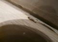 Experts reveal how to prevent silverfish in your bathroom, as numbers surge this August