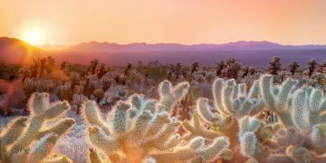The Ultimate Guide to Halloween in Greater Palm Springs